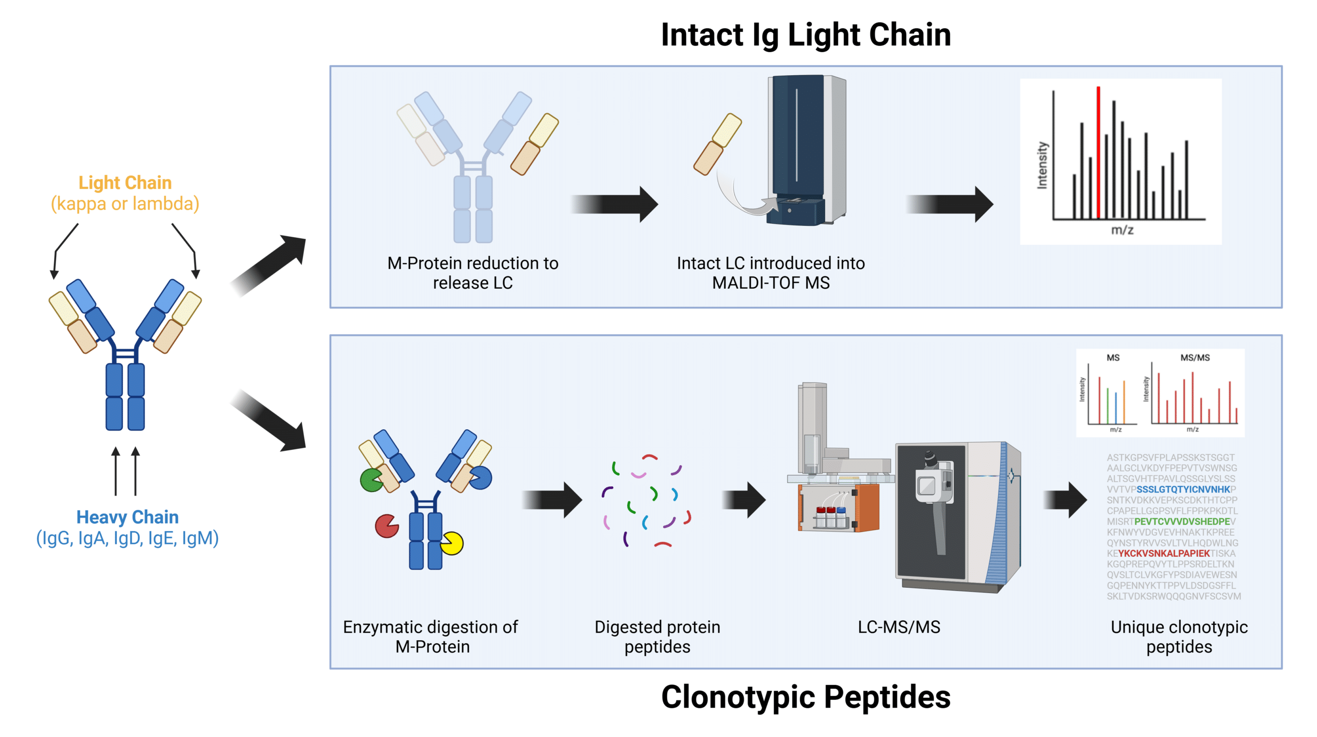 Different MS approaches to M-protein monitoring in MM. 